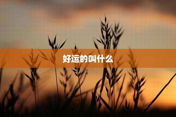 好运的叫什么