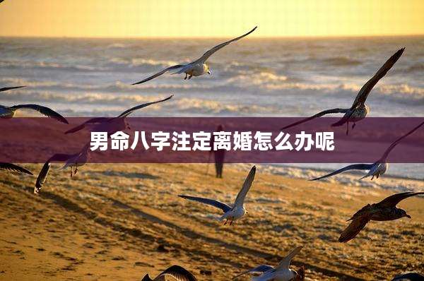 男命八字注定离婚怎么办呢