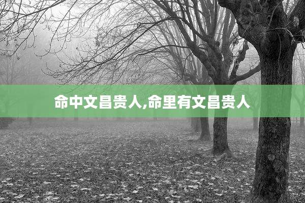 命中文昌贵人,命里有文昌贵人