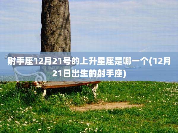 射手座12月21号的上升星座是哪一个(12月21日出生的射手座)