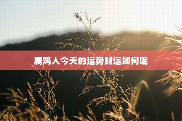 属鸡人今天的运势财运如何呢