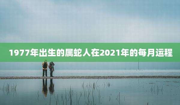 1977年出生的属蛇人在2021年的每月运程