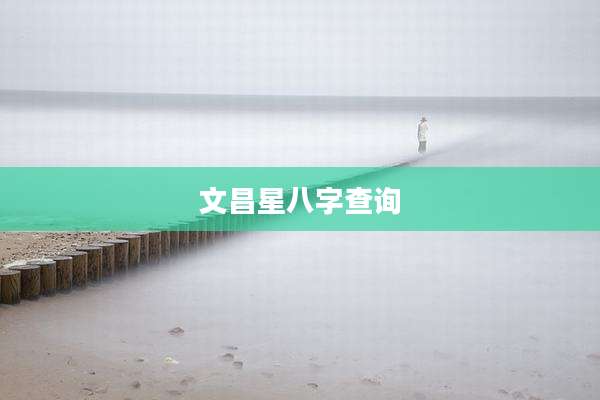 文昌星八字查询