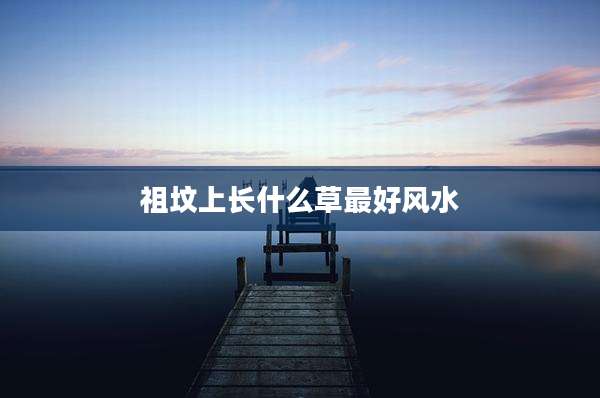 祖坟上长什么草最好风水