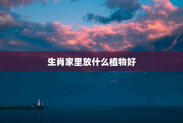 生肖家里放什么植物好
