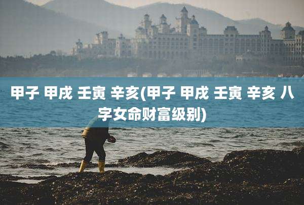甲子 甲戌 壬寅 辛亥(甲子 甲戌 壬寅 辛亥 八字女命财富级别)