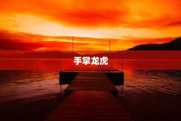 手掌龙虎