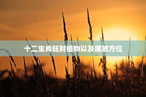 十二生肖旺财植物以及摆放方位