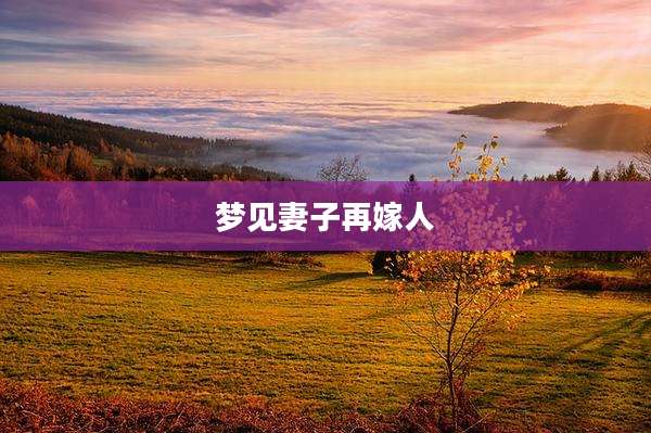 梦见妻子再嫁人