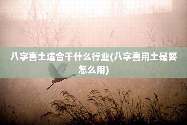八字喜土适合干什么行业(八字喜用土是要怎么用)
