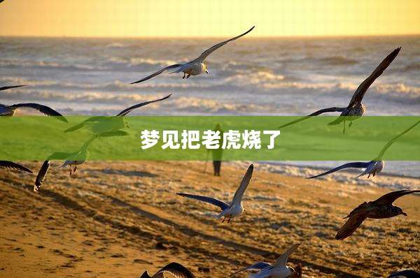 梦见把老虎烧了
