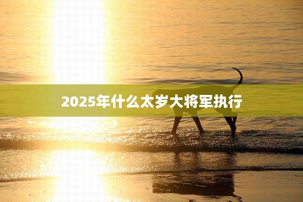 2025年什么太岁大将军执行