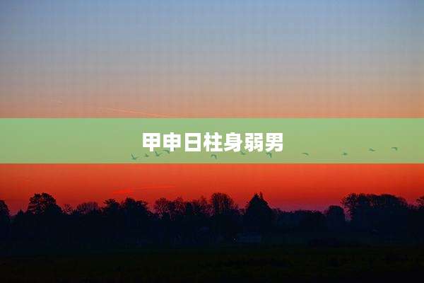 甲申日柱身弱男