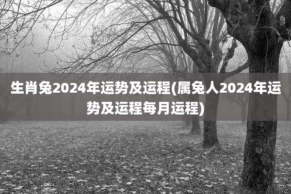 生肖兔2024年运势及运程(属兔人2024年运势及运程每月运程)