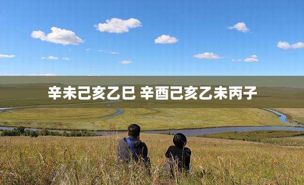 辛未己亥乙巳 辛酉己亥乙未丙子