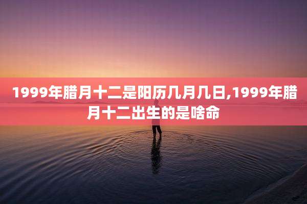 1999年腊月十二是阳历几月几日,1999年腊月十二出生的是啥命