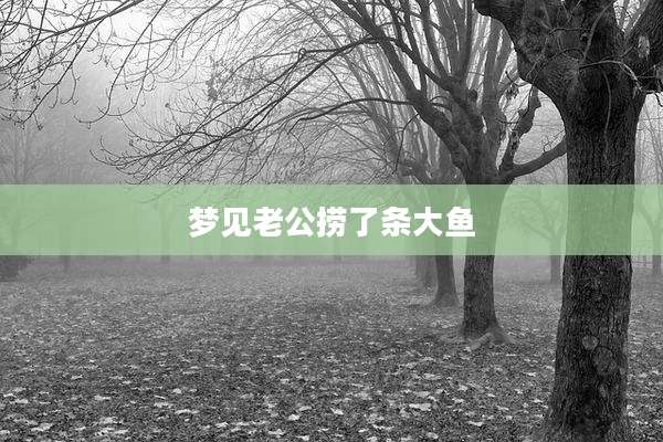 梦见老公捞了条大鱼
