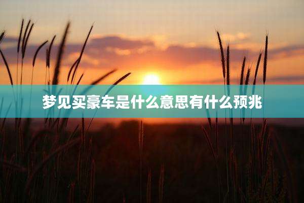 梦见买豪车是什么意思有什么预兆