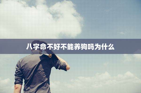 八字命不好不能养狗吗为什么