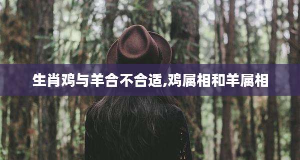 生肖鸡与羊合不合适,鸡属相和羊属相