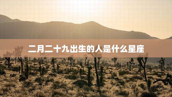 二月二十九出生的人是什么星座
