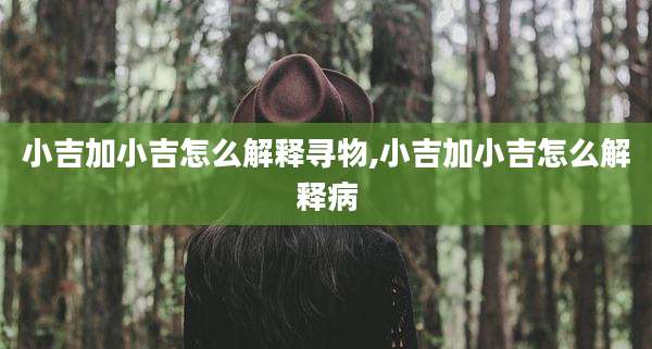 小吉加小吉怎么解释寻物,小吉加小吉怎么解释病