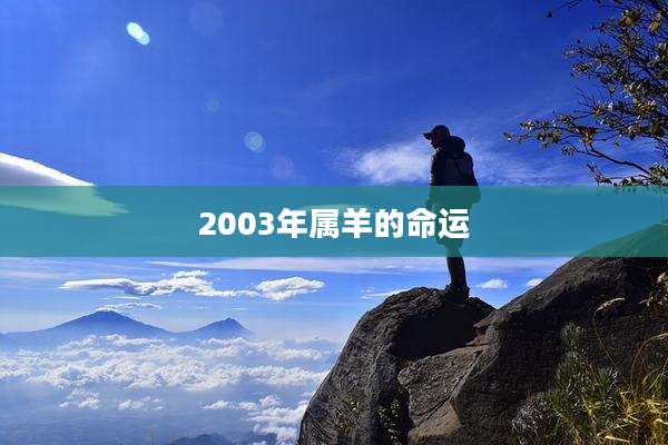 2003年属羊的命运
