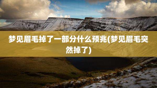 梦见眉毛掉了一部分什么预兆(梦见眉毛突然掉了)