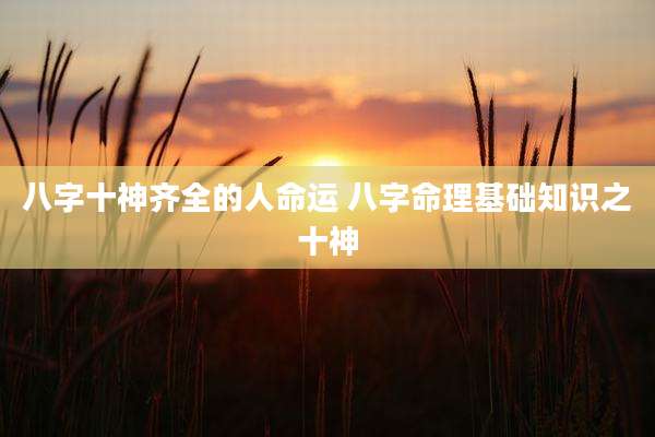 八字十神齐全的人命运 八字命理基础知识之十神
