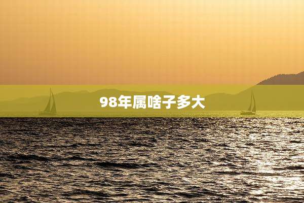 98年属啥子多大