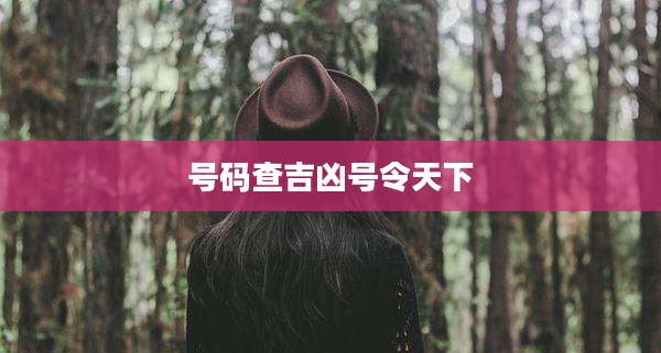 号码查吉凶号令天下