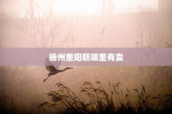扬州重阳糕哪里有卖