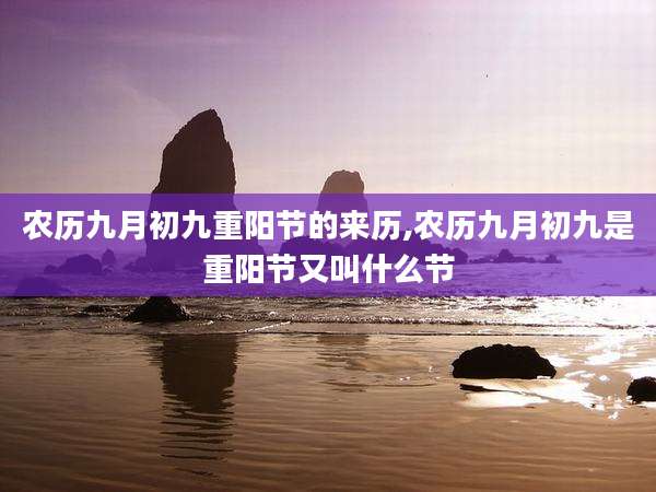 农历九月初九重阳节的来历,农历九月初九是重阳节又叫什么节