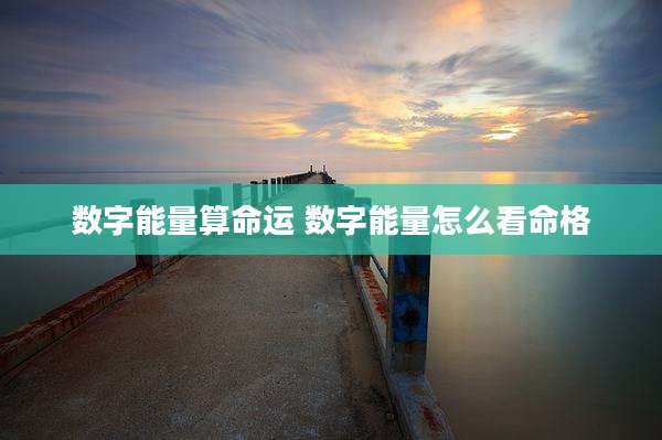 数字能量算命运 数字能量怎么看命格