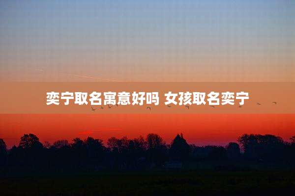 奕宁取名寓意好吗 女孩取名奕宁