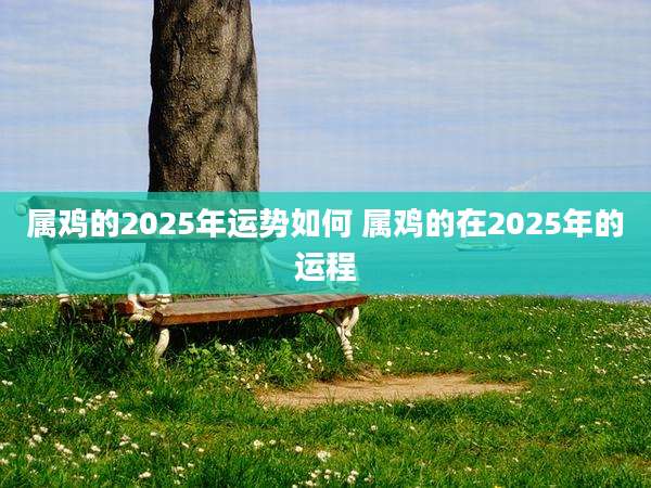 属鸡的2025年运势如何 属鸡的在2025年的运程