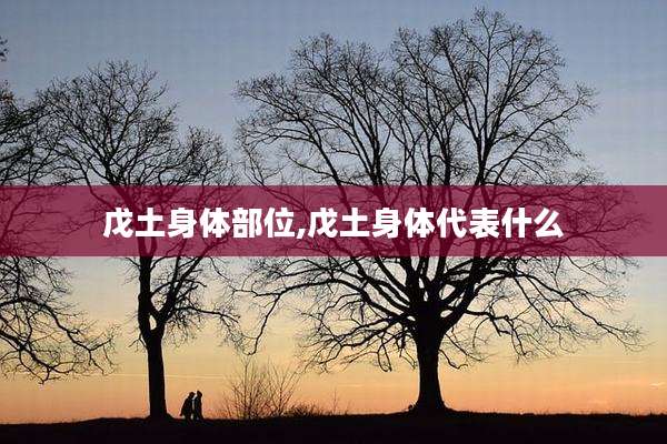 戊土身体部位,戊土身体代表什么