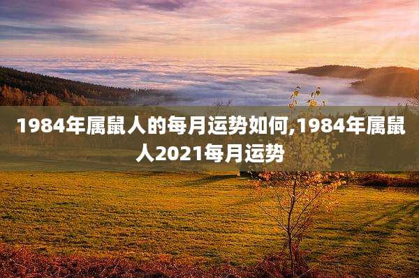 1984年属鼠人的每月运势如何,1984年属鼠人2021每月运势