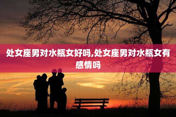 处女座男对水瓶女好吗,处女座男对水瓶女有感情吗