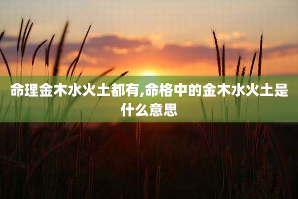 命理金木水火土都有,命格中的金木水火土是什么意思