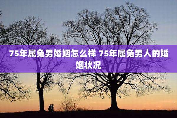 75年属兔男婚姻怎么样 75年属兔男人的婚姻状况