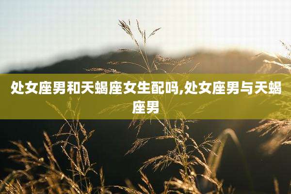 处女座男和天蝎座女生配吗,处女座男与天蝎座男