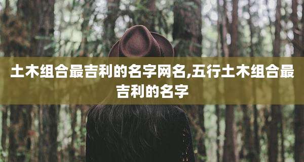 土木组合最吉利的名字网名,五行土木组合最吉利的名字