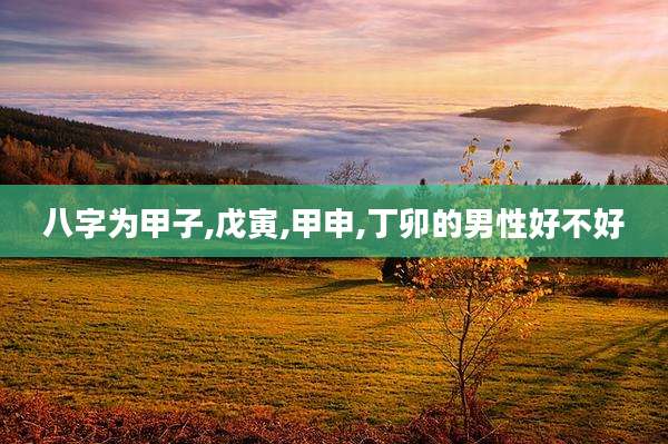 八字为甲子,戊寅,甲申,丁卯的男性好不好