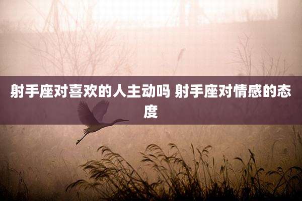射手座对喜欢的人主动吗 射手座对情感的态度