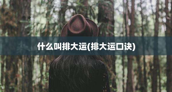 什么叫排大运(排大运口诀)