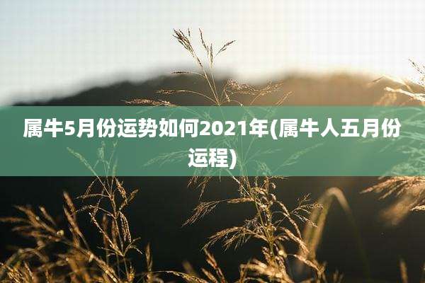属牛5月份运势如何2021年(属牛人五月份运程)