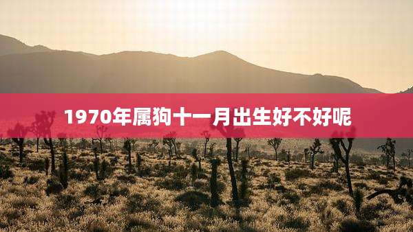 1970年属狗十一月出生好不好呢