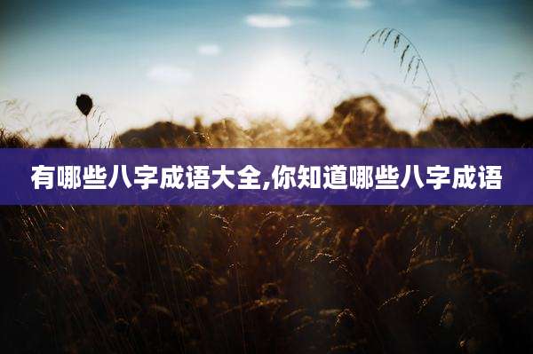 有哪些八字成语大全,你知道哪些八字成语
