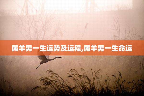 属羊男一生运势及运程,属羊男一生命运